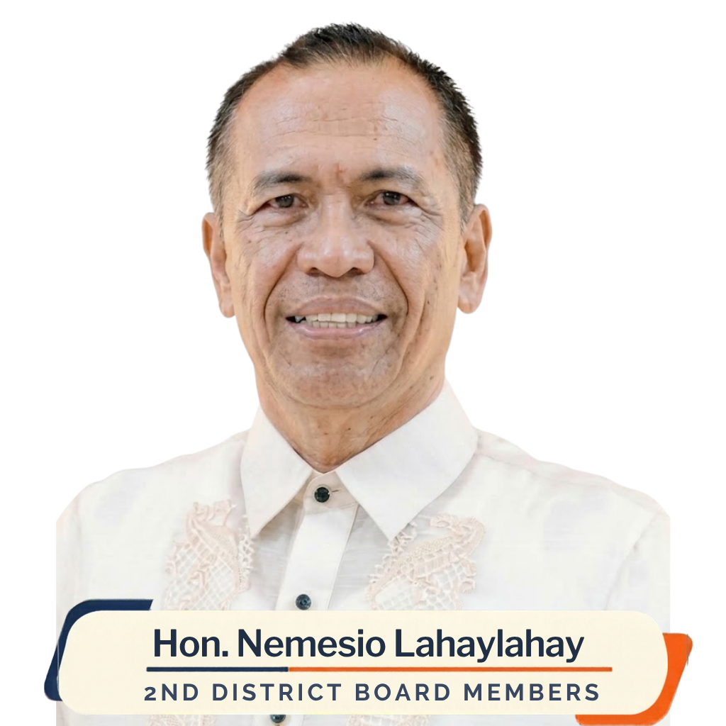 provincial governor
